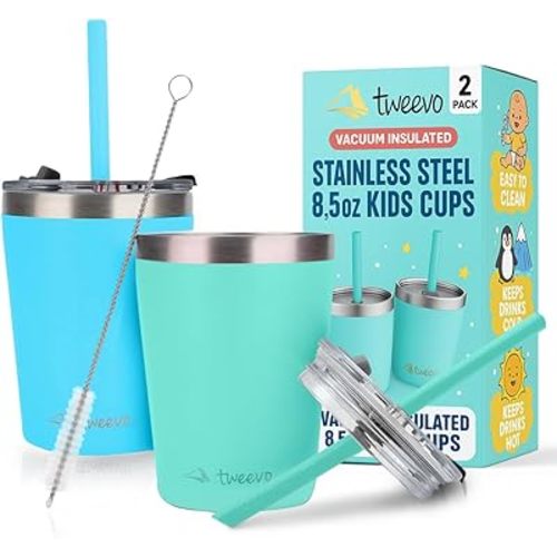 Sippy Cups For Toddlers 1-3 - Toddler Cups w/Screw Lids - Stainless Steel Kids Tumblers With Straws and Lids - 2 Pack (Blue & Green, 8.5oz)
