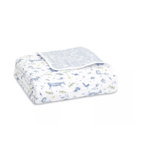 Aden and Anais Muslin Dream Blanket