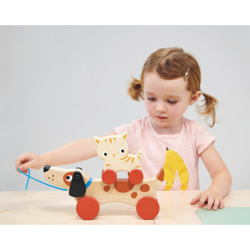 Puppy On Wheels - Mentari Toys | Maisonette
