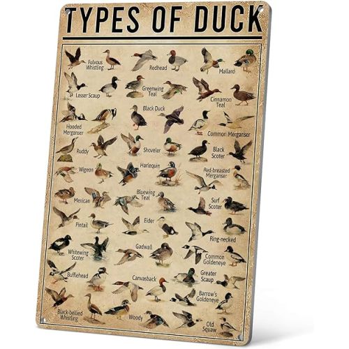 HYBLOM Duck Hunting Gifts For Men - Types Of Duck Metal Signs Vintage - Hunting Decor For Boys Room/Little Man Cave - Duck Hunting Accessories - Tin Sign 12X8 Inches