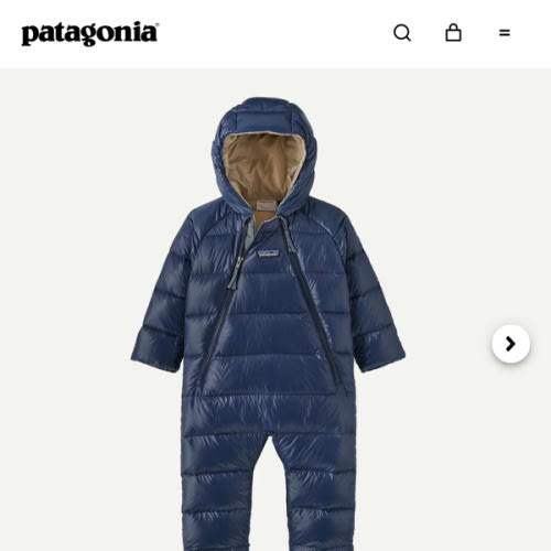 Patagonia Infant Hi-Loft Down Sweater™ Bunting
