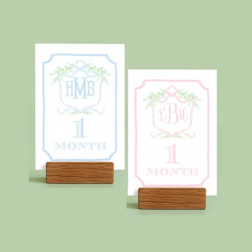 Personalized Printed Monogram Watercolor Ivy Crest Set of 12 Milestone Cards Classic Gift for Baby Shower Grand Millennial Monthly Cards