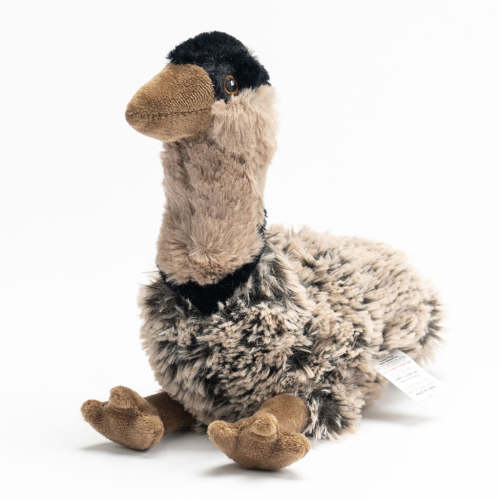 Ellin Emu Plush Toy - 20cm