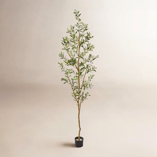 Birch Lane™ 77" Artificial Olive Tree in Planter & Reviews | Wayfair