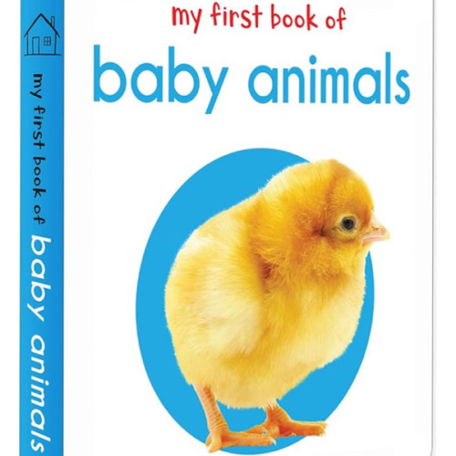 My First Book of Baby Animals: First Board Book