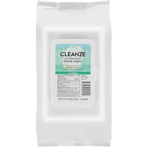 Antibacterial Hand Sanitizing Wipes with Aloe, Alcohol-Based Resealable Soft Pack for On-the-Go Hand Cleaning, Helps Reduce Germs Without Water, Travel-Friendly Pack, 100 Wipes