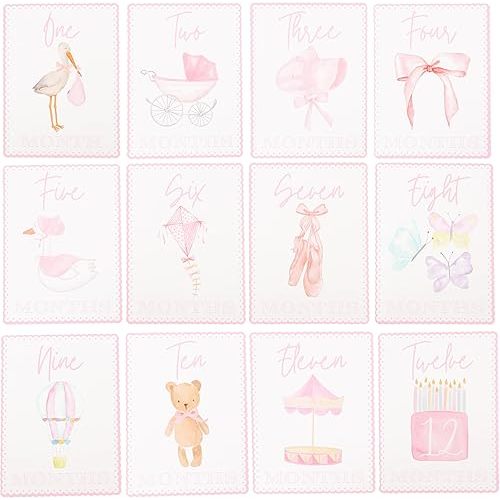 WAUAO Gingham Milestone Monthly Cards - My First Milestone Cards, Baby Shower Photo Props,Baby Milestone Monthly Memories,Boys/Girls Photo Props (pink)