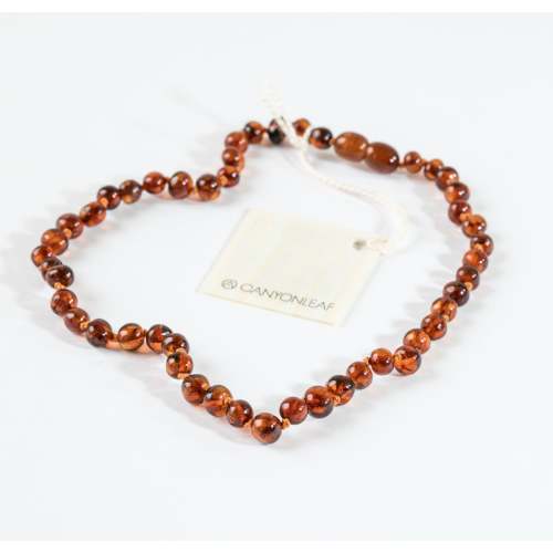 Polished Cognac Baltic Amber || Necklace – CanyonLeaf