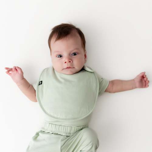 Cushy Bib in Basil