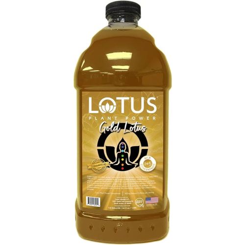 Gold Lotus Plant Energy Drink Concentrate | Pure Cane Sugar | 64 fl oz | 1:5 | Natural Caffeine from Green Coffee Bean