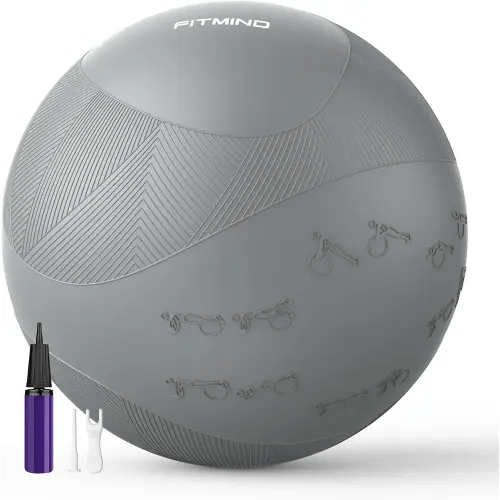 Extra Thick Yoga Ball with Training Instruction, Anti-Burst Slip Resistant Exercise Ball with Pump for Pilates,Physical Therapy,Pregnancy Stability,Birthing Ball 22in 26in 30in