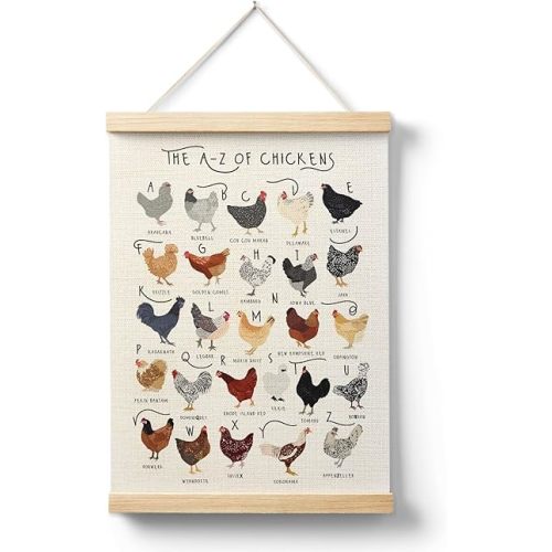 AQYIP Chicken Breeds Alphabet Wall Art Decor, Chicken Lover Gifts, Rooster Hens ABC Poster Canvas Prints for Home Kitchen Kids Room Classroom Wall Decoration, 12x16 Inch, Rustic Farmhouse Decor