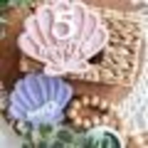 Seashell Milestone, Interchangeable, Pearl, Monthly Milestone Marker, Shell, New Baby, Prop, Baby Girl,
