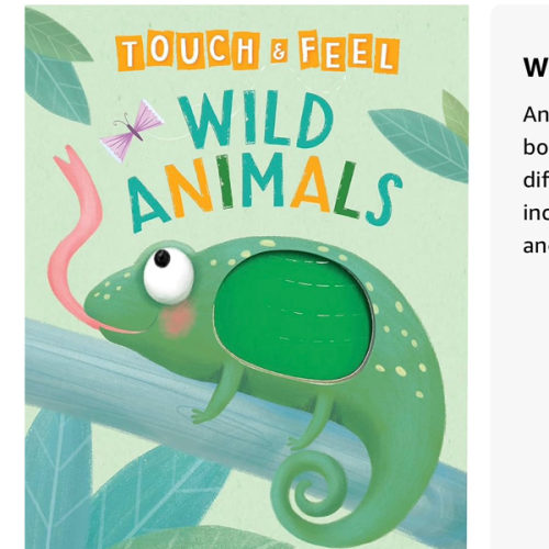 Wild Animals: A Touch and Feel Book - Children's Board Book - Educational
