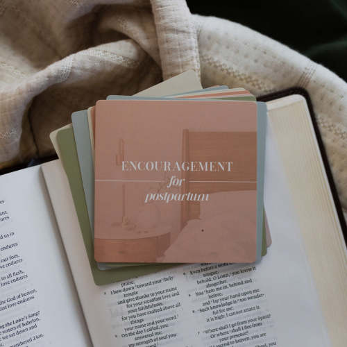 Encouragement for Postpartum Verse Card Set – The Daily Grace Co.