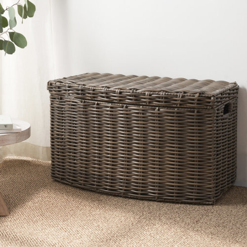 Bayou Breeze Stroh Wicker Trunk & Reviews | Wayfair