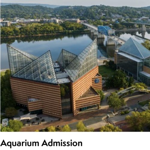 Aquarium 1 Year Membership