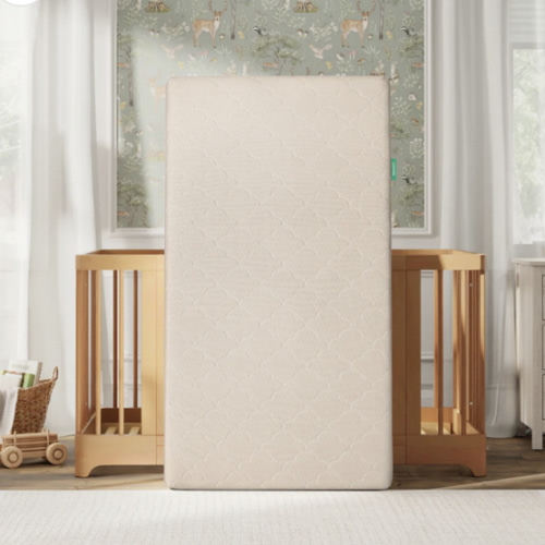 Newton Crib Mattress