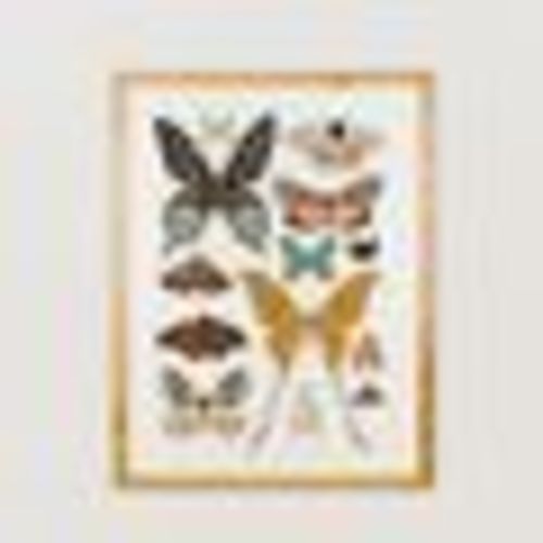 Butterfly Collector Art