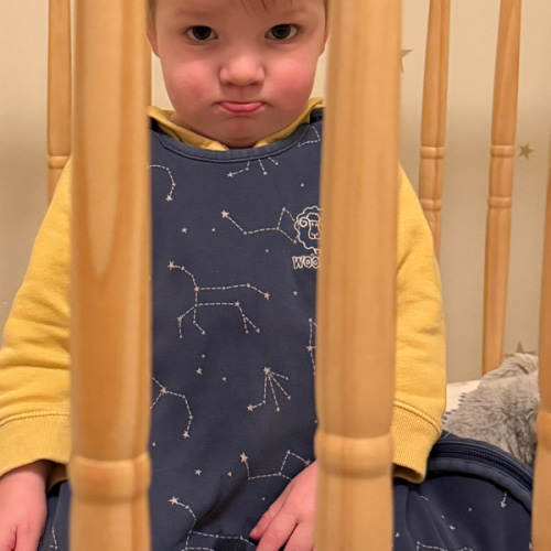 4 Season® Ultimate Baby Sleep Bag, Merino Wool & Organic Cotton, Puppy