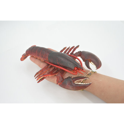 Lobster, East Coast, Maine, Red, Hard Rubber Crustaceans, Educational, Figure, Lifelike, Model, Replica, Gift, 9" F4070 B91