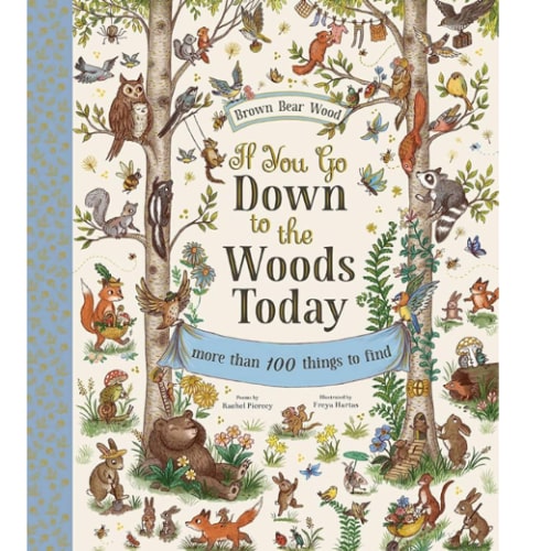 If You Go Down to the Woods Today: A Search and Find Adventure (Brown Bear Wood)