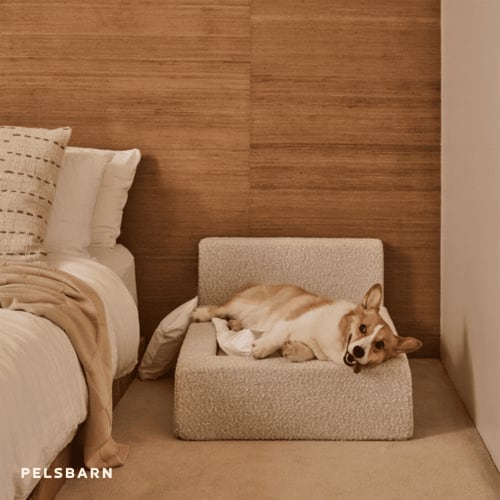 Real Orthopedic Bed for Dogs – Pelsbarn.org