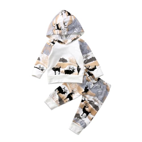 2Pcs Baby Boys Hoodie Tops Pants Set Dinosaur Deer Print Sweatsuit Fall Winter Outfits