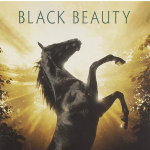 Black Beauty (DVD)