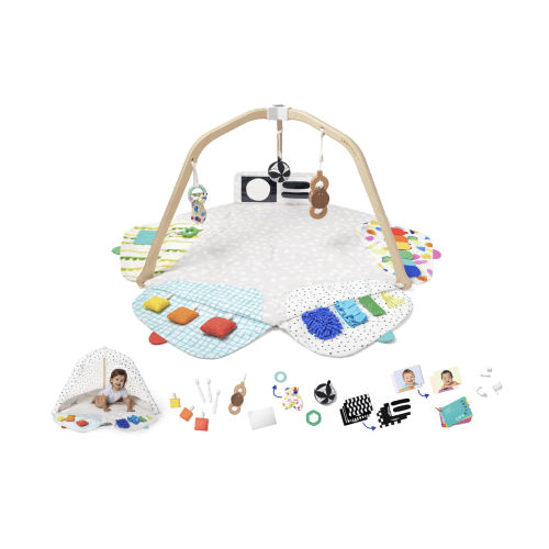 The Play Gym