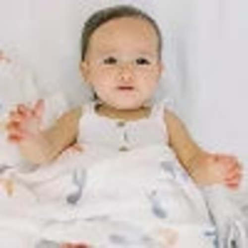 Organic Cotton Swaddles 4 Pack | aden + anais