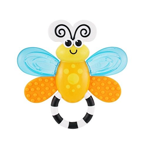 Sassy Developmental Toy