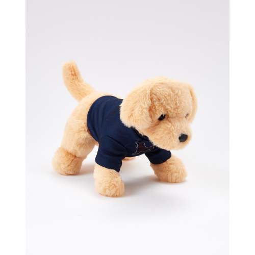 Caroline The Yellow Lab – The Black Dog