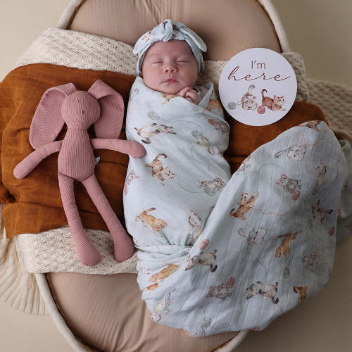 Kittens Organic Muslin Wrap | Snuggle Hunny