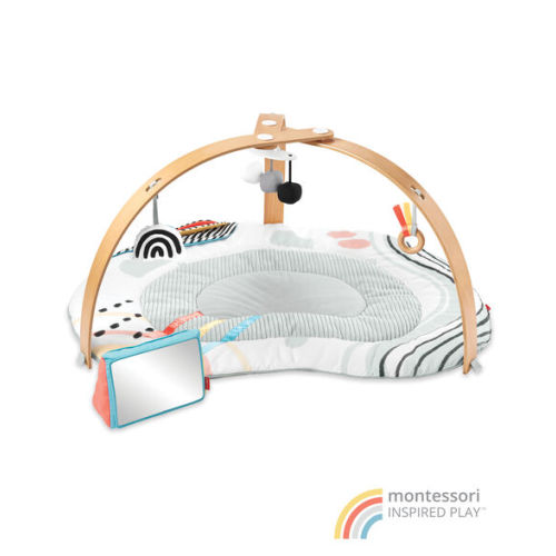 Discoverosity Montessori-Inspired Play Gym - Skip Hop | Carter's