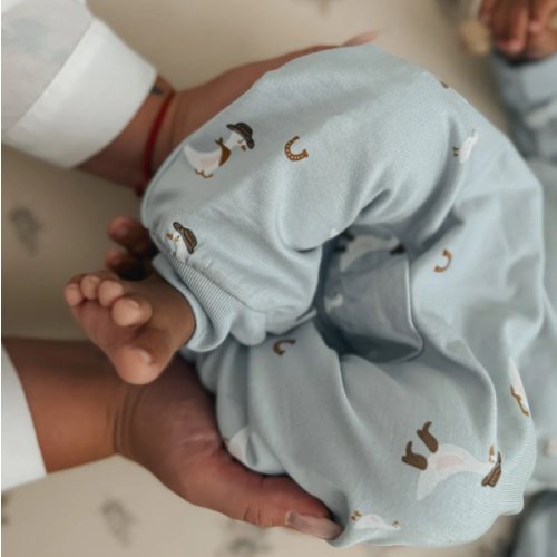 Fleece Jumpsuit - Cowboy Goose