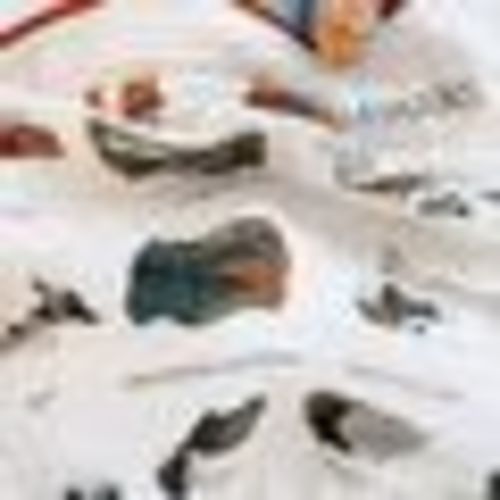 National Parks II Quilt