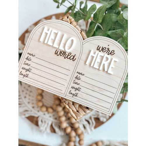 Twin Baby Announcement, Hello World, We're Here, New Baby, Photo Prop, Birth, Hospital, Fresh 48