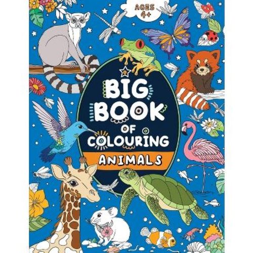 Big Book of Colouring - Large Print by Fairywren Publishing (Paperback)
