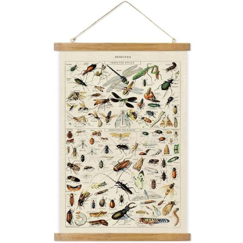 ABoby Vintage Hanging Posters, Decorative Insect Wall Art Prints, Printed on Linen with Wood Frames, Ready to Hang