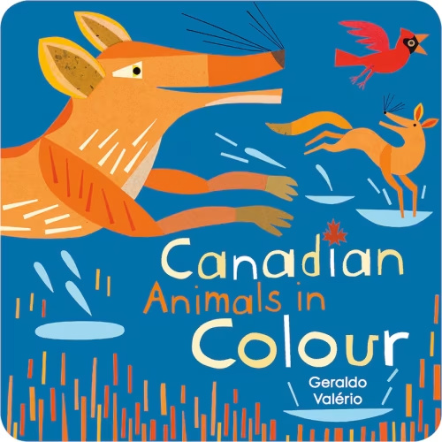 Canadian Animals In Colour Book By Geraldo Valerio, (Board Book) | Indigo