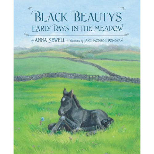 Black Beauty's Early Days in the Meadow by Anna Sewell, Jane Monroe Donovan, Hardcover | Barnes & Noble®