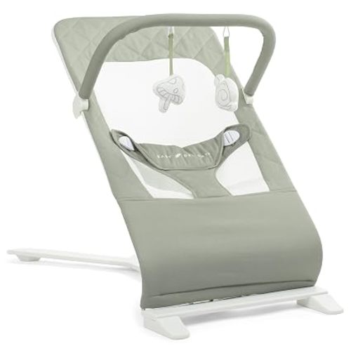 Baby Delight Alpine Deluxe Portable Bouncer, Organic Sage