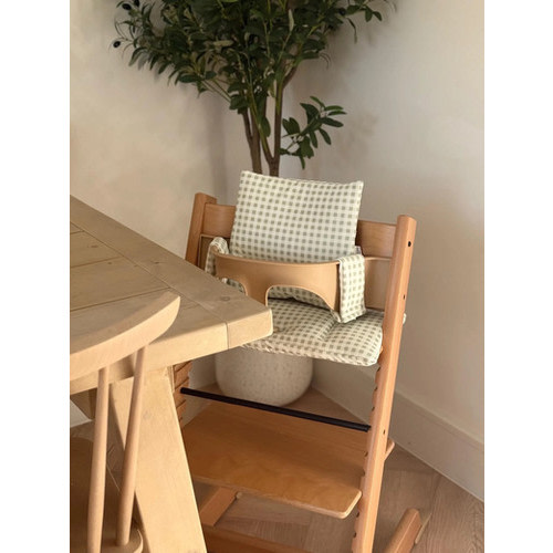 Sage Gingham 2 in 1 Cushion