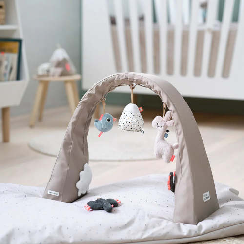 Activity Gym (Sand)
