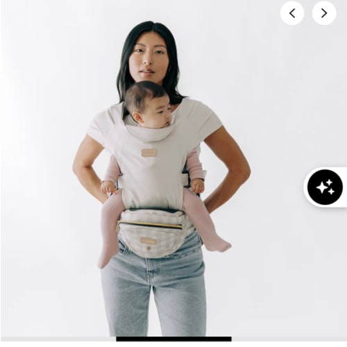2-in-1 Convertible Carrier