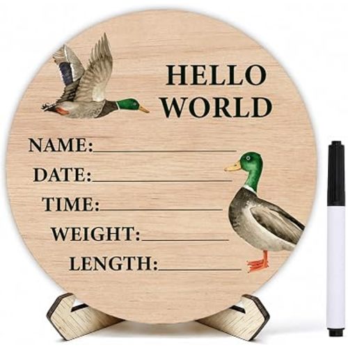 Mallard Duck Baby Announcement Sign Duck Nursery Decor Hello World Sign