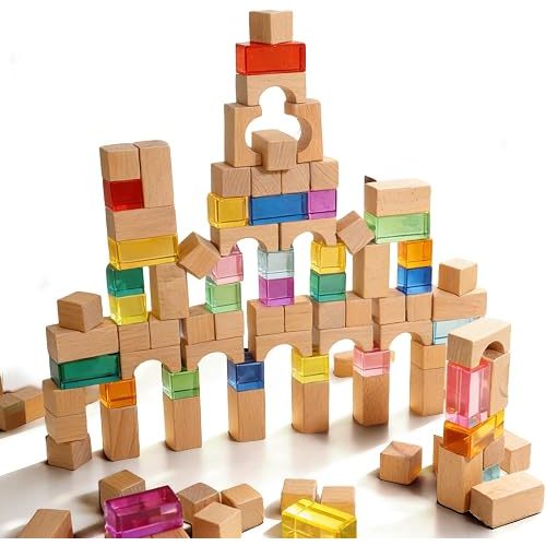 100Pcs Beech Wood & Transparent Acrylic Building Blocks Set