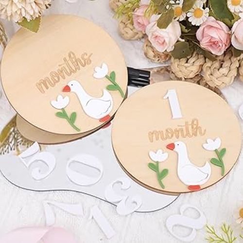 Goose Monthly Milestone Wooden Board - Wood One Funny Goose First Year Monthly Decoration, Baby Nursery Milestone Sign, Newborn Monthly Milestone Disc, 1-12 Months Record for Newborns