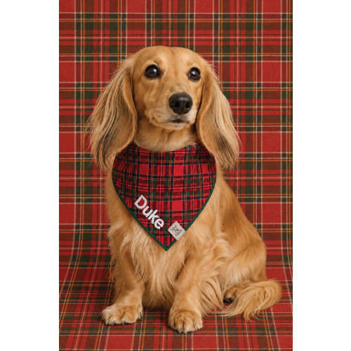 Embroidered Christmas Pet Bandana | Plaid Tidings